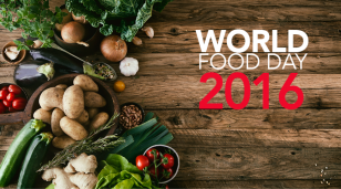 World Food Day 